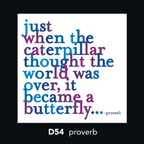 D54 - Just when the caterpillar (197164335115)