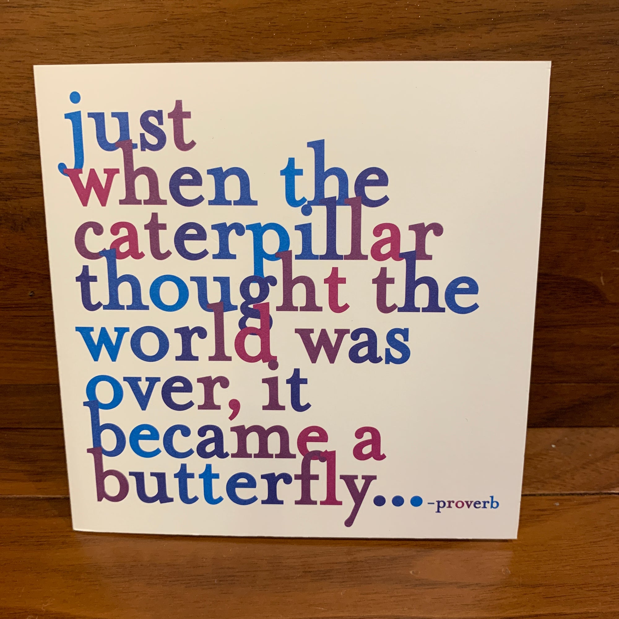 D54 - Just when the caterpillar (197164335115)