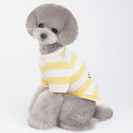 Dog Pet Wear | Rough Striped Shirt | 正價