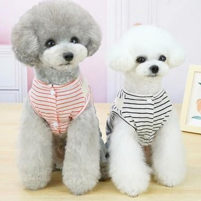 Dog Pet Wear | Slight Striped Shirt | 正價