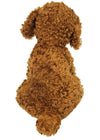 Dog Pet Soft Toy | Poodle | 正價