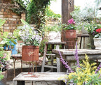 Aziazi | Chicken Planter