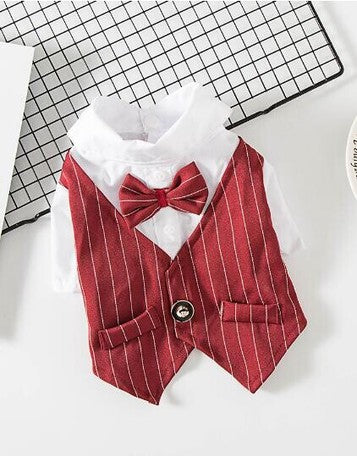 Dog Pet Wear | Suit | 正價