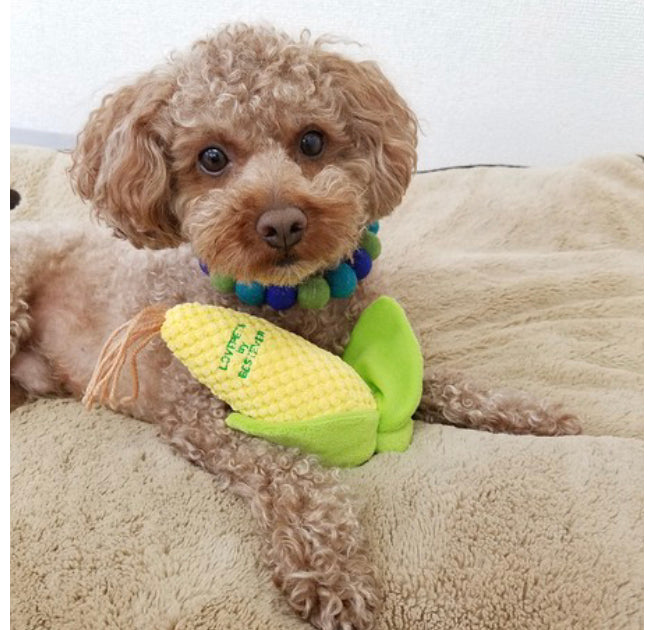 Dog Pet Toy | Corn Vegetables | 正價
