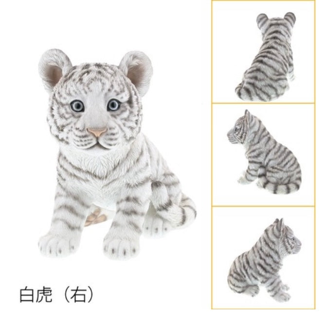 Children Ornaments | White Tiger | 正價