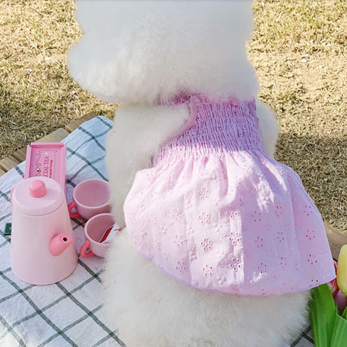 Dog Pet Wear | Flower One-piece Dress | 正價